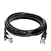 10FT S/FTP CAT 7 Gold Plated Shielded Ethernet RJ45 Copper Cable 10 Gigabit Ethernet Network Patch Cord Cat7 (10ft, Black)