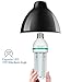 ANMIEN 20W E27 LED Bulbs, 150W Halogen Bulbs Equivalent, Daylight White 6000K, 1700lm, Non-Dimmable, 360?Beam Angle, LED Light Bulbs, Pack of 4