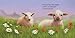 Wee Little Lamb