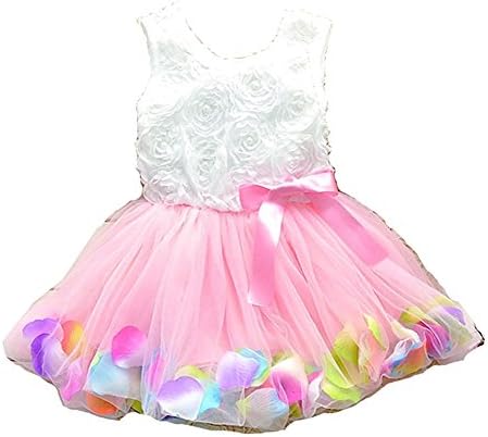 Dearilin Novel Princess Rose Garden Flower Petal Lace Ruffled Tulle Skirts Dresses (#12(Advice3-4Years), pink.)