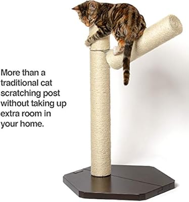 cat scratching a post
