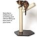 PetFusion Branch-Out Cat Scratching Post. 28