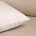 Pakaku Throw Pillows Covers for Couch/Bed 18 x 18 inch,Bernese Mountain Dog Summer Funny Lovely Animals Home Sofa Cushion Cover Pillowcase Gift Decorative Hidden Zipper Design Cotton and Polyester