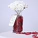 Supla 3000 Pcs Dark Red Silk Rose Petals 2