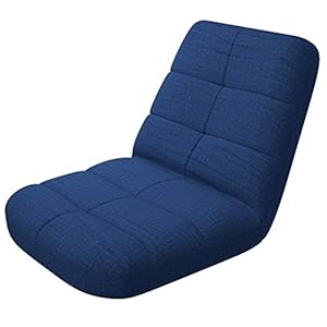 bonVIVO Easy Lounge, adjustable padded floor chair with back support, comfortable cushion with backrest for home and office, foldable floor chair for meditation or gaming, available in blue and grey