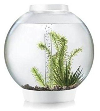 biOrb 45697.0 Classic 30 MCR White Aquariums