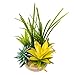 BEGONDIS Artificial Succulents Plants Plastic Fake Topiary Selected Combination with Gray Pot for Home Décor