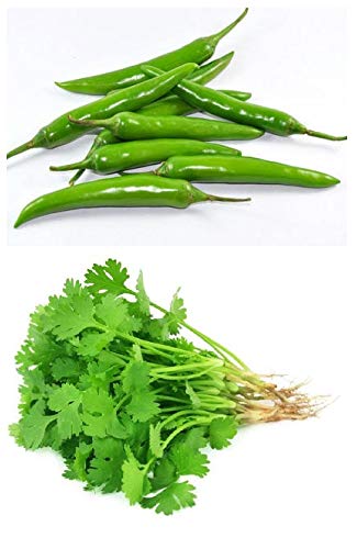 Zonato - Easy planting - Green Chili & Coriander Combo pack of Hybrid Vegetable seeds + 1 (one) Surprising Gift Inside the Package