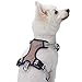 Blueberry Pet 9 Colors Soft & Comfy 3M Reflective Multi-Colored Stripe Mesh Padded No Pull Dog Harness Vest with Back Leash Clips, Medium, Olive & Blue-Gray