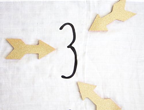 Wood Arrows 3ct 3" Unfinished Wood Arrows Great for highlighting each month of baby's first year. Perfect add on to the month to month baby swaddling blanket