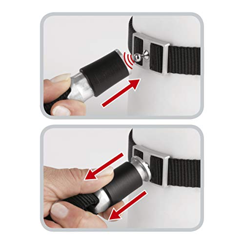 GOLEYGO-Hundeleine-Halsband-Schwarz-Gre-S-M-innovatives-Magnet-Klick-System-mit-Kugelstift-unter-Vollast-lsbar-fr-Hunde-bis-max-40-kg-Leinenlnge-120-200-cm