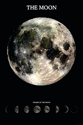 The Moon With Phases Poster 24 x 36in