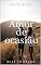 Livro Amor de ocasião