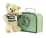 Lenni Teddy Bear in Suitcase