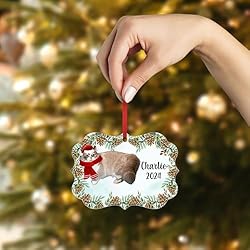 Lilac Munchkin Cat Christmas Ornament 2024