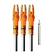 (2-Pack) 3V CR435 BR435 435 Lithium Pin Type Cell Battery for Fishing Lures, Fishing Bobbers, Pen Lights, Arrow Nocks, Fishing Floats, Pole Lights, LED Flashers, Microphones, PDA Pens.