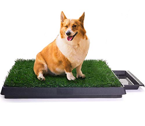 Sailnovo Dog Litter Tray Genuine Grass Puppy Toilet Training Pads for Small, Large, Elderly Dogs Indoor Pet Toilet 63x 50 x 7 cm (L x W x H)