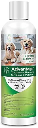 advantage flea and tick shampoo