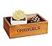 Hosaire Wooden Flower Pots Box Holder Modern Resin Succulent Planter Plant Container Box Plant Containers Nursery Plant Desktop Storage Box Style 1thumb 2