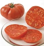 Tomato Brandywine Beefsteak D2845A (Red) 50 Organic Heirloom Seeds by David's Garden Seeds