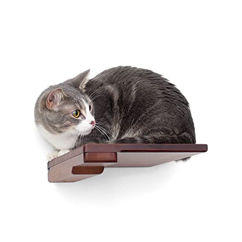Catastrophic Creations Wooden Cat Step Floating Shelf (English Chestnut Bamboo)— Cat Wall Furniture for Indoor Cat — Platform Climber Wooden Cat Shelves —Playing & Jumping — Cat Wall Shelves