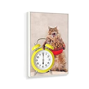 Framed Canvas Wall Art for Living Room, Bedroom Humorous Cat Canvas Prints for Home Decoration Ready to Hanging - 16x24 inches
