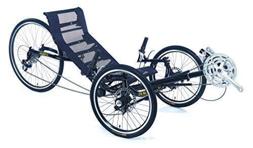 Trident Adult Recumbent Tricycle