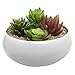 MyGift Modern Round White Ceramic Succulent Plant Flower Planter Pot/Decorative Centerpiece Display Bowl with Drainage Hole