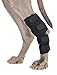 BACK ON TRACK Therapeutic Dog Hock Brace (Pair), Color: Black, Size: L (31020003)
