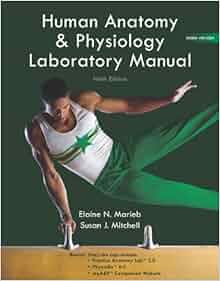Human Anatomy Amp Physiology Lab Manual Main Version 9th