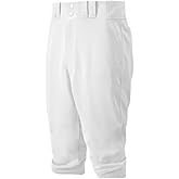 Mizuno Adult Men's Premier Players Baseball Pant