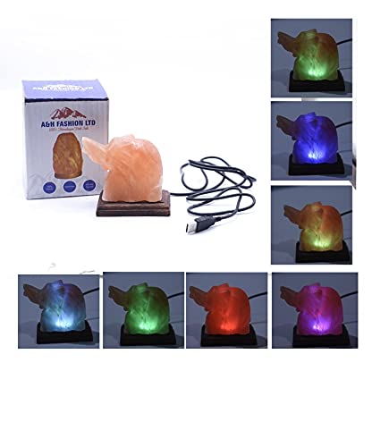 Himalayan Natural Salt Lamp Pink Rock USB with Color Changing Lights Hand Crafted (USB Elephant)