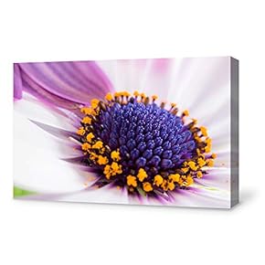 Canvas Wall Art for Living Room,Bedroom Home Artwork Paintings Orchid SPA Backgrounds Ready to Hang - 12x18 inches