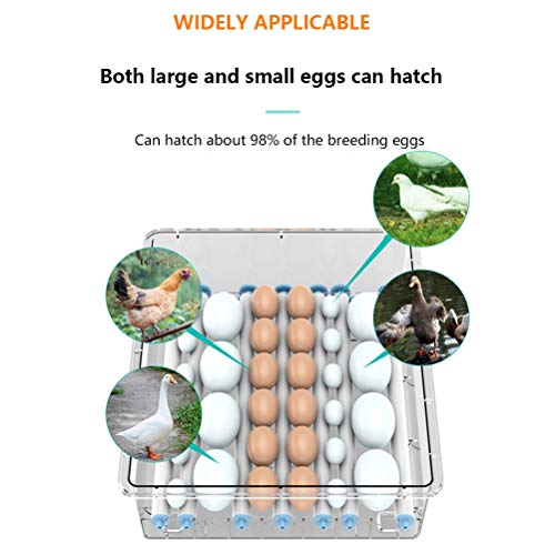 Jlxl Brutapparat Brutmaschine Temperatur Und Feuchtigkeitsregulierung Mit Turner Zum Schlüpfen Von Truthahngänse-Wachtel… – Bild 6