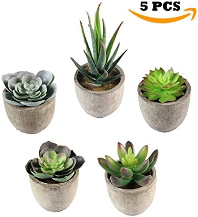 SYNI Designs Decorative Potted Artificial Succulent Plants- Assorted Potted Faux Succulent Plants- Artificial Aloe, Cactus Potted Topiary with Grey Pots for Home/Office (Set of 5)
