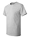 Hanes Men's Tagless T-Shirt, Medium, Ash