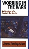 Working in the Dark: Reflections of a Poet of the Barrio by