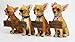 Ebros Set of 4 Adorable Fashion Tea Cup Chihuahua Dogs Statues Each Wearing Humorous Faux Wood Collar Signs Small Chihuahuas Figurines 4.25