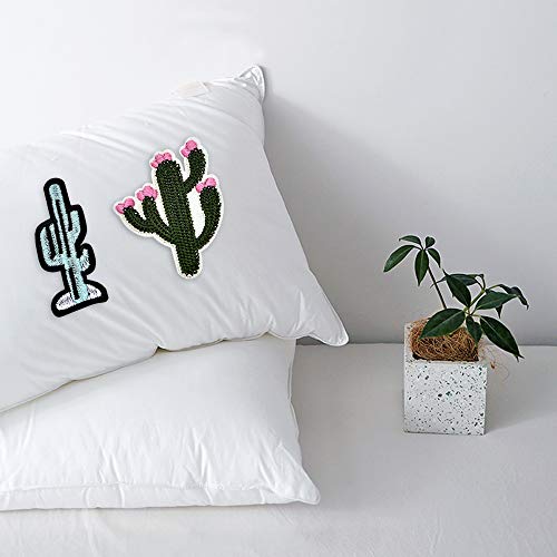 PGMJ 35 Pieces Plant and Vegetable Leaves Iron On Patch, Cute Plant Potted Cactus Assemble Patch for Arts Crafts DIY Decor, Jeans, Jackets, Kid's Clothing, Bag,Caps,Arts Craft Sew Making (K32)