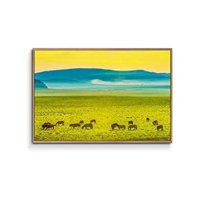 Framed Canvas Wall Art for Living Room, Bedroom Plain Canvas Prints for Home Decoration Ready to Hang - 16x24 inches