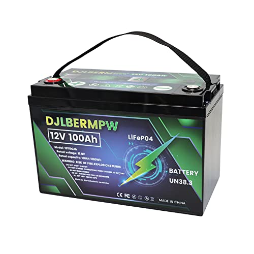 DJLBERMPW LiFePO4 Battery 12V 100Ah Lithium Battery, Builtin 100A BMS