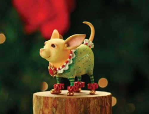 Patience Brewster Chihuahua