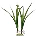 Fluval Acorus Plant for Aquarium, 14.5-Inch