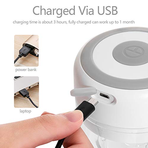 Huasida Mini Food Chopper Small Food Processor Mincer Blender Suitable for Onions Garlic Vegetables Nuts Baby Food (White, 250ml)