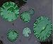 hilingo Happy Life 6 X Pond Leaves, Artificial Foliage,Artificial Plant