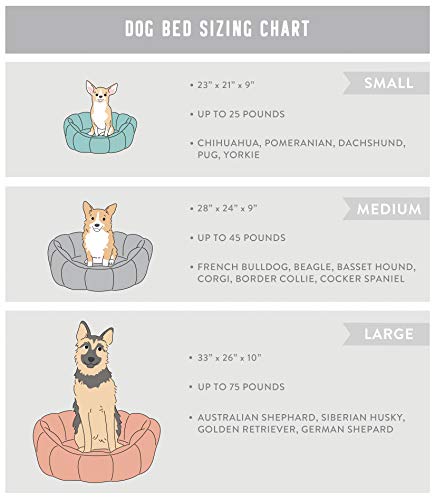 fringe dog bed large