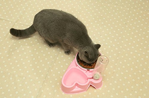 Popowbe Double Pet Bowls Stainless Steel Dog Bowl with No Spill Skidstop Silicone Mat Dog Cat Food Water Feeder with Automatic Water Bottle Pink-160g - Thumbnail 6
