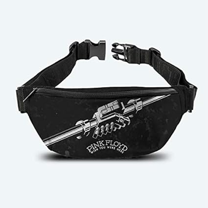wish fanny pack