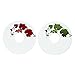 True Red and Green Paper Grape Vine Wine Glass Tags, 24 Count