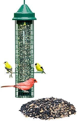 Amazon Com Squirrel Buster Classic Bird Feeder With Divine Blend